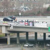 covid lockdown protestors 