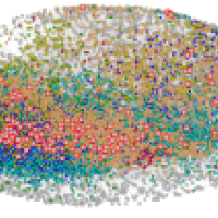 Figure 1. University Enrollment Network