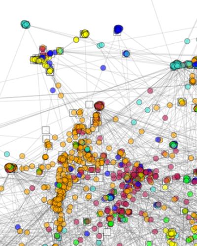 Network image