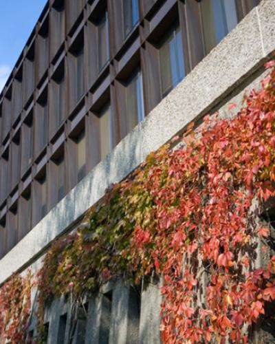 Uris Hall in the fall
